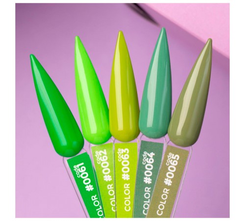 Гель-лак DNKa' Color 12 мл (065)