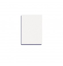 Баф шліфувальник прямокутний mini  PRO 50 шт (100/180 grit)
