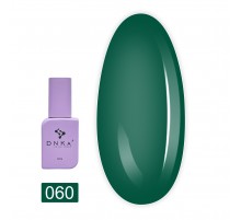 Гель-лак DNKa' Color 12 мл (060)
